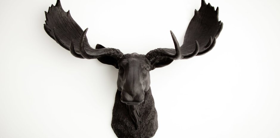 Голова лося на стене