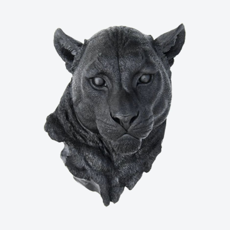 Головы животных