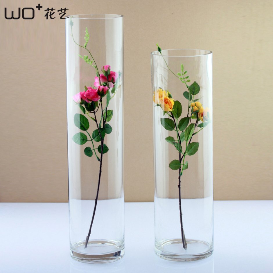 Стеклянная гидропонная ваза