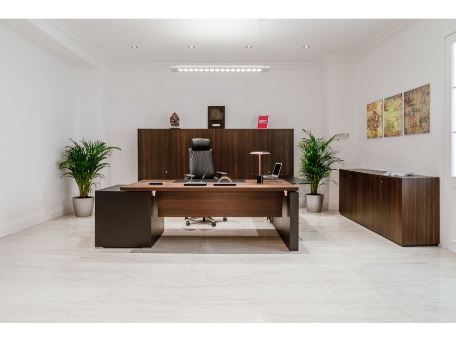 Кабинет руководителя Ego