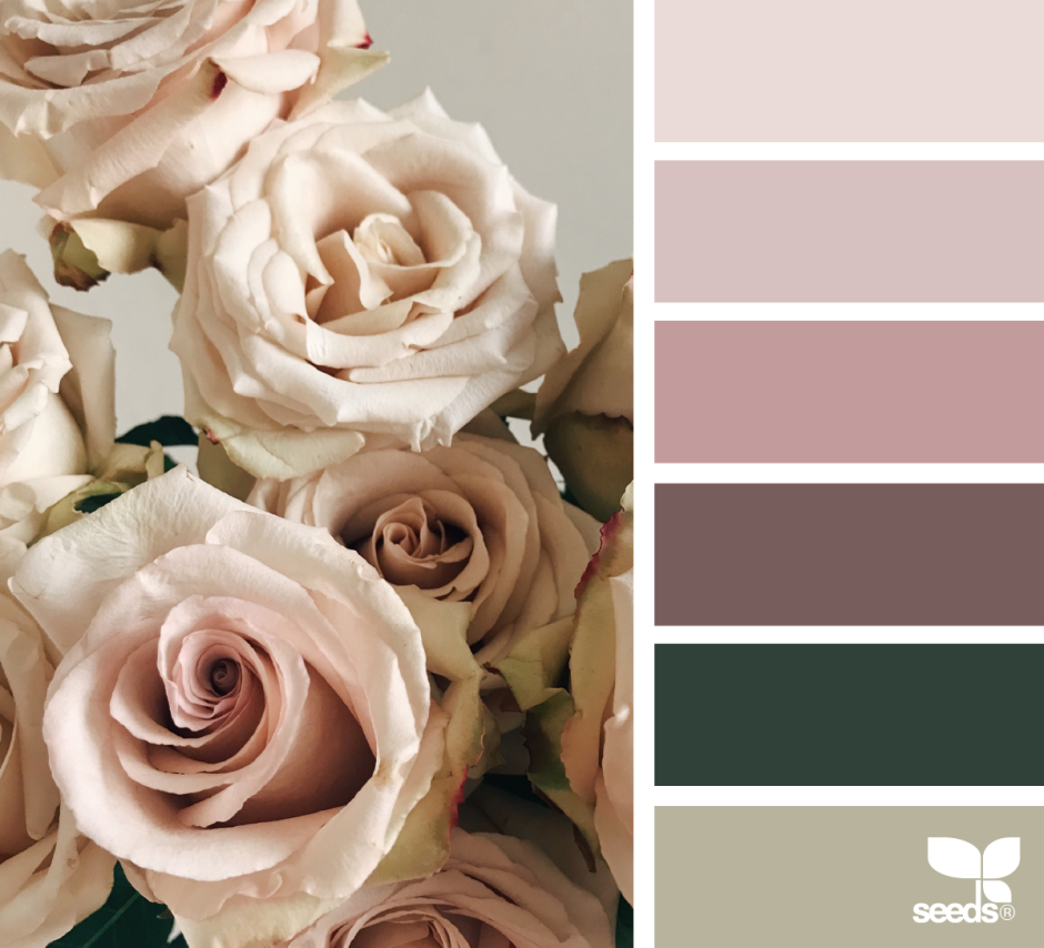 Оттенки пыльной розы в палитре