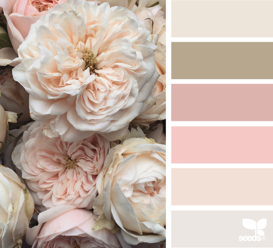 Нюдовая палитра