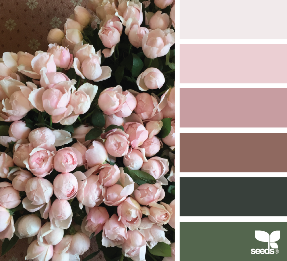 Палитра нюдовых оттенков