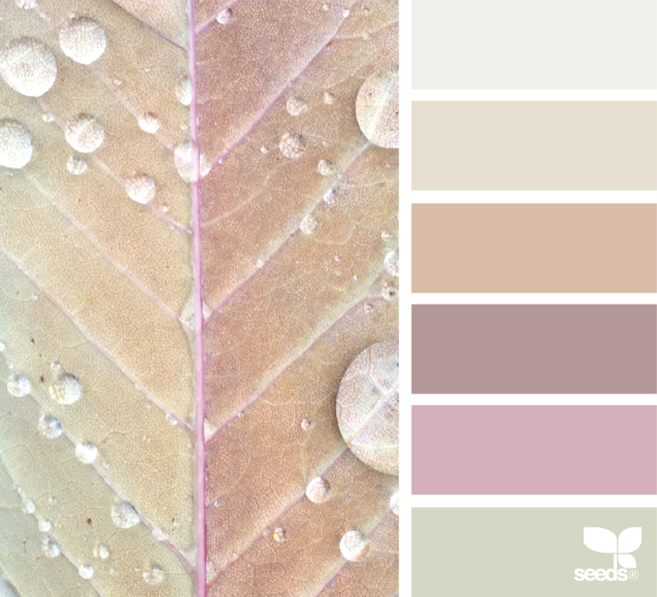 Колор баланс Палитры пудровый