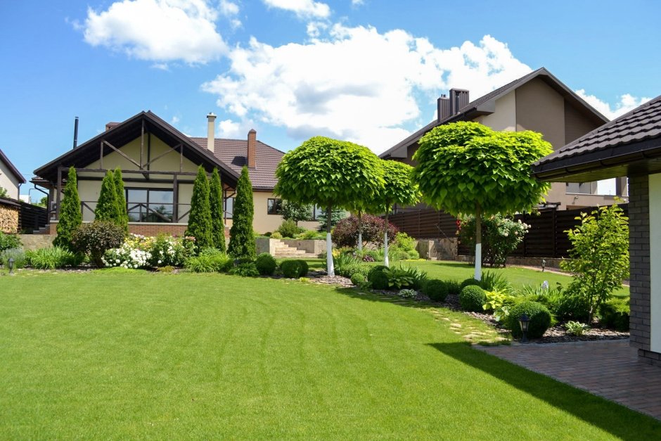 Газон элитный партерный