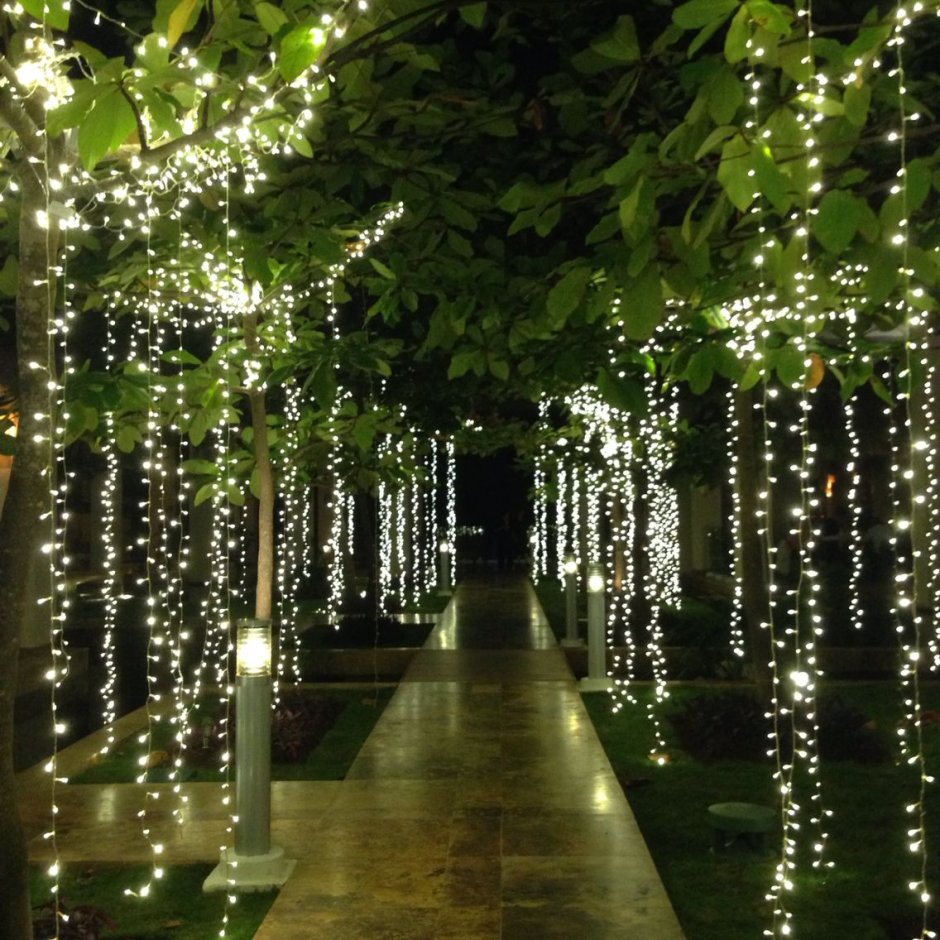 Иллюминация в саду