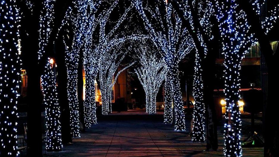 Деревья украшены фонариками в новый год