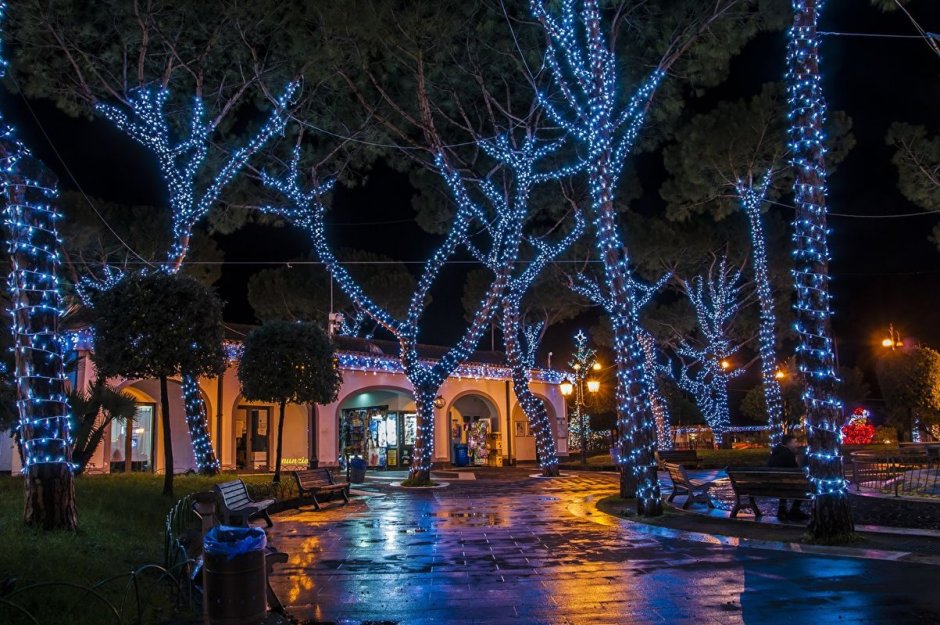 Украшение деревьев гирляндами