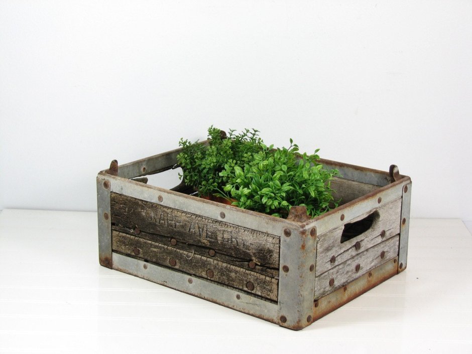 Старый ящик на огороде
