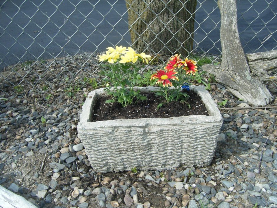Цветник из цемента