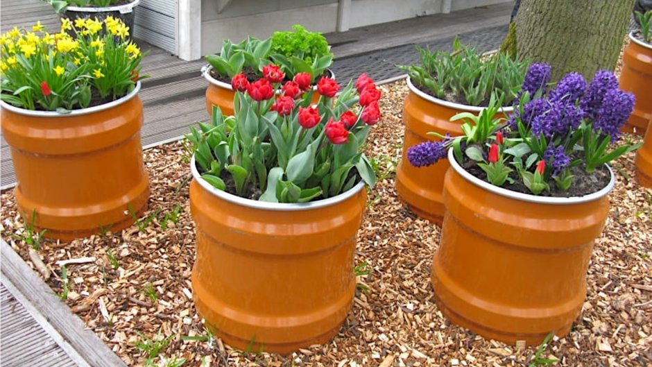 Клумба в горшке