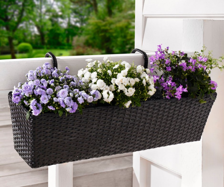 Балконные ящики для цветов