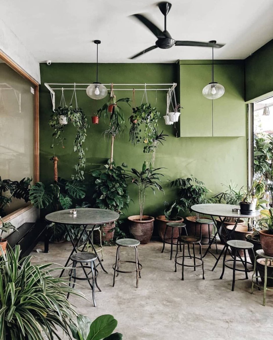 Интерьер кофейни с зеленью
