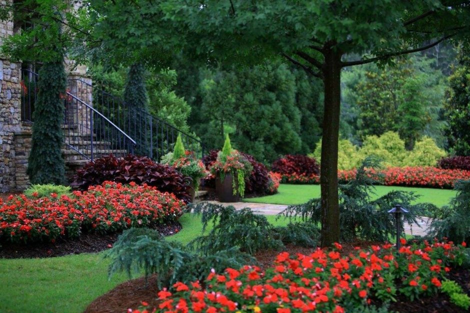 Монохромный сад