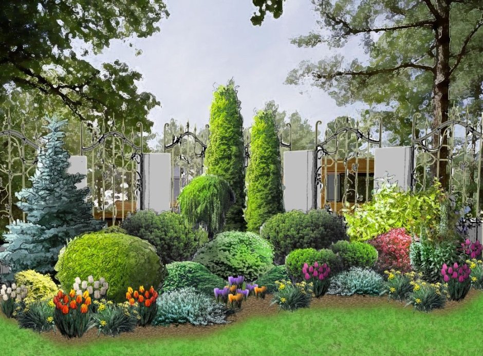 Миксбордер с вечнозелеными