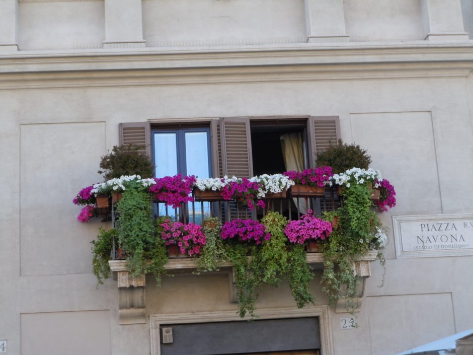 Балкон из цветов