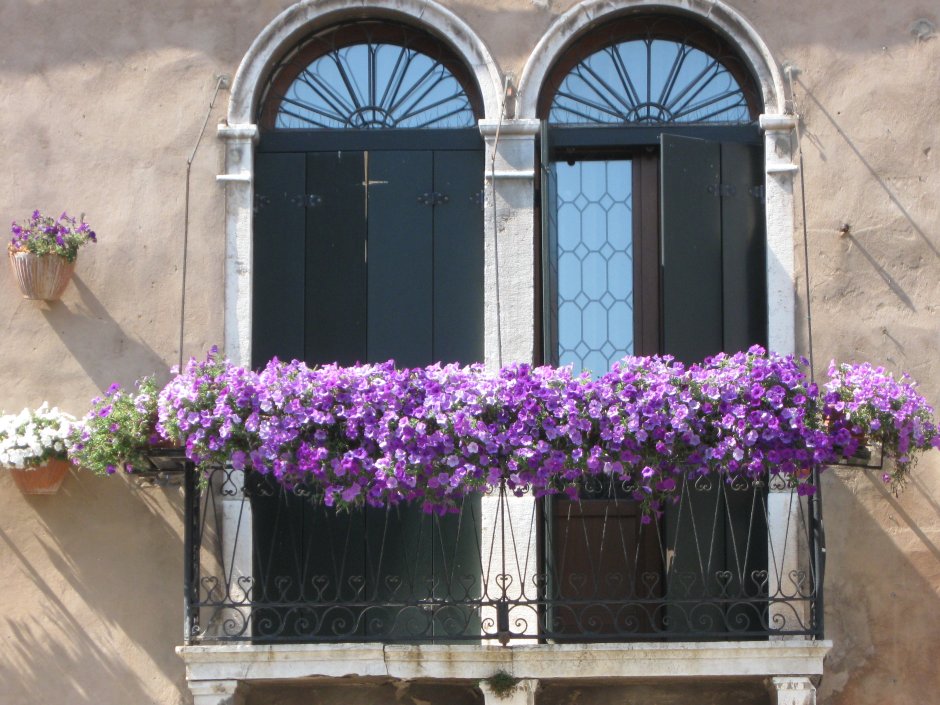 Цветы на балконе