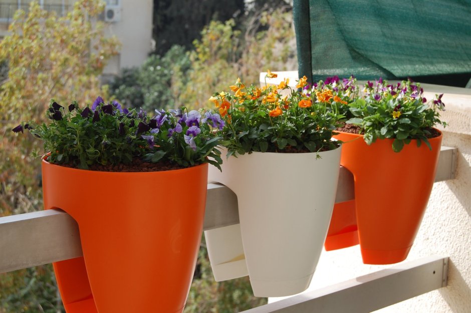 Балконные ящики с цветами