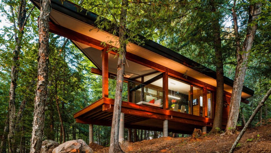 Тини Хаус на склоне