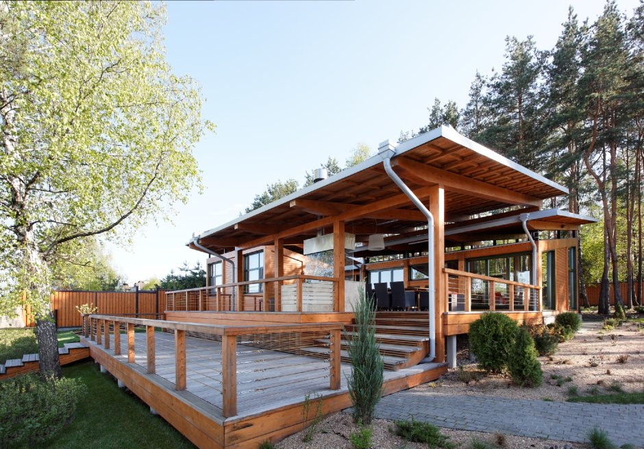 Веранда и дерево Скандинавия