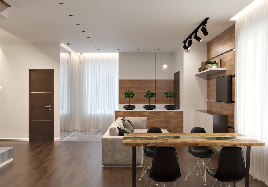 Кухня гостинная 18кв м пик