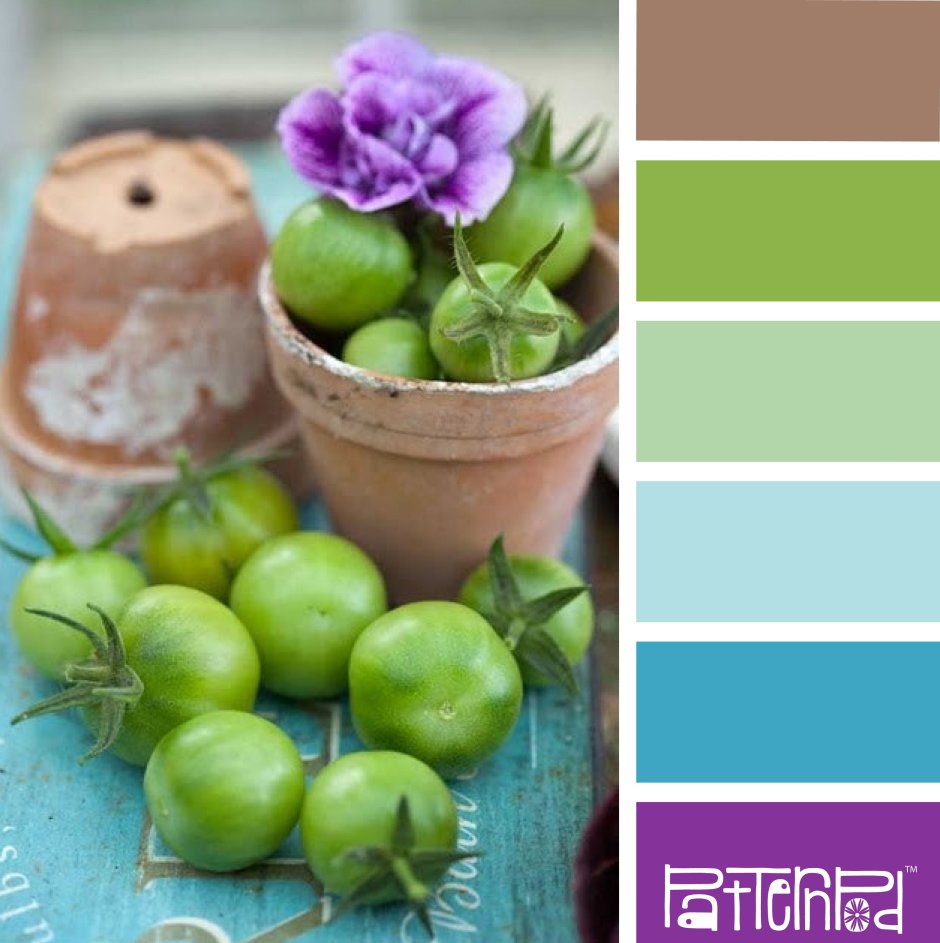 Фисташковый цвет сочетание