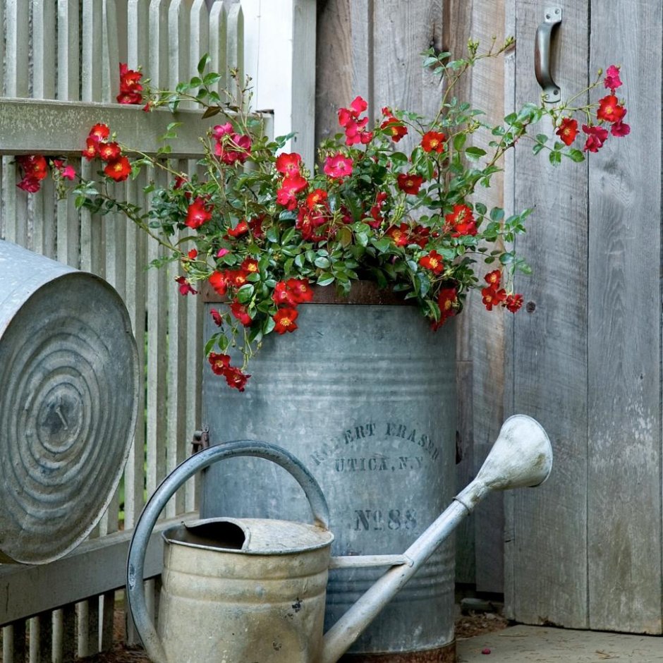 Глиняный кувшин