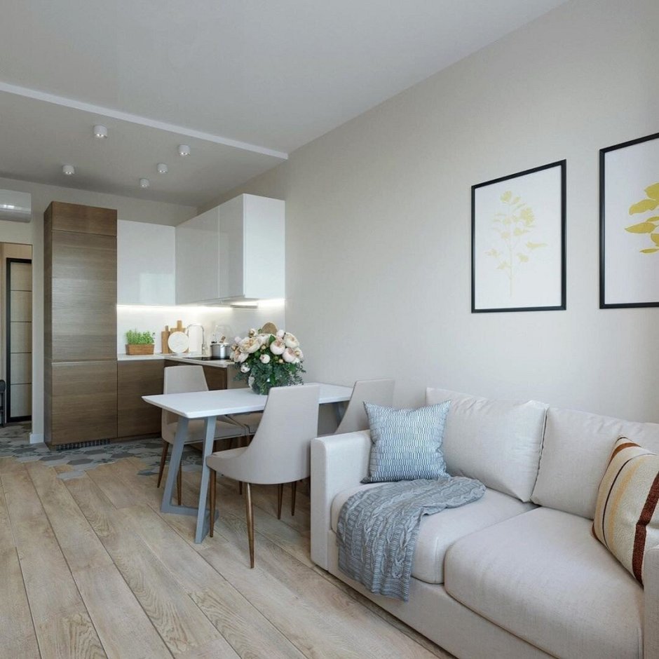 Пик евродвушка кухня гостиная