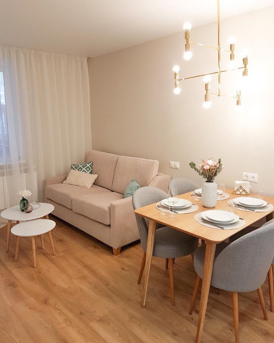 Кухня-гостиная 20 кв.м евродвушка