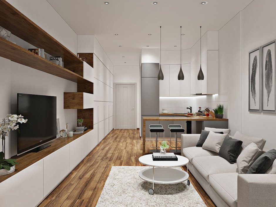 Кухня-гостиная 20 кв.м евродвушка