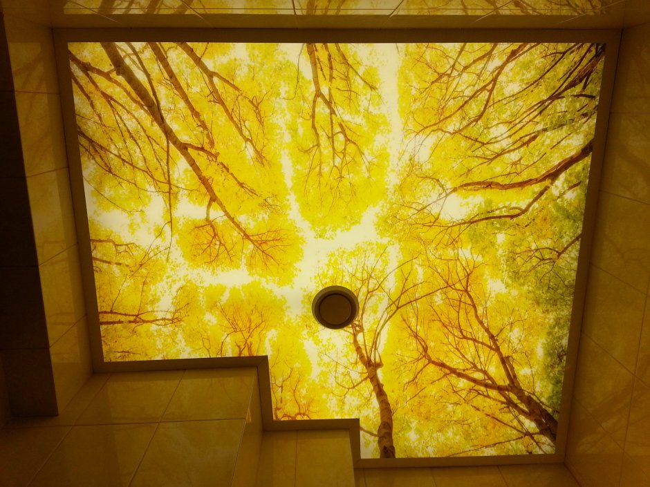 Световое панно на потолок