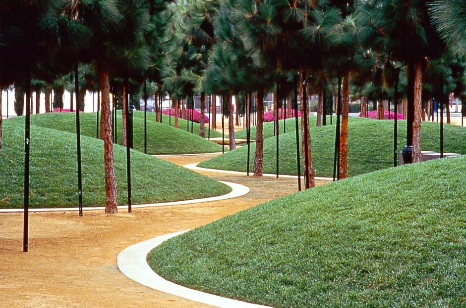 Марта Шварц сады