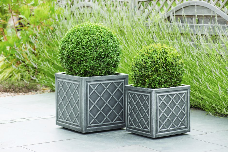 Горшок для цветов Keter