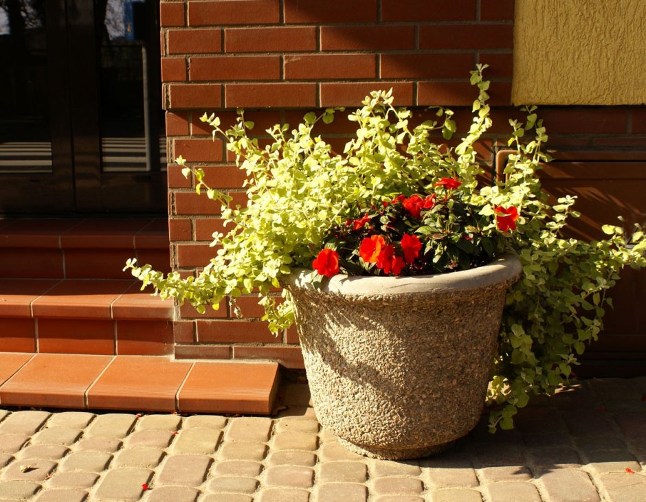 Вазоны уличные
