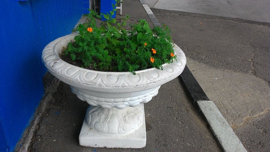 Бетонные вазоны уличные (цветочница 550*780*300)