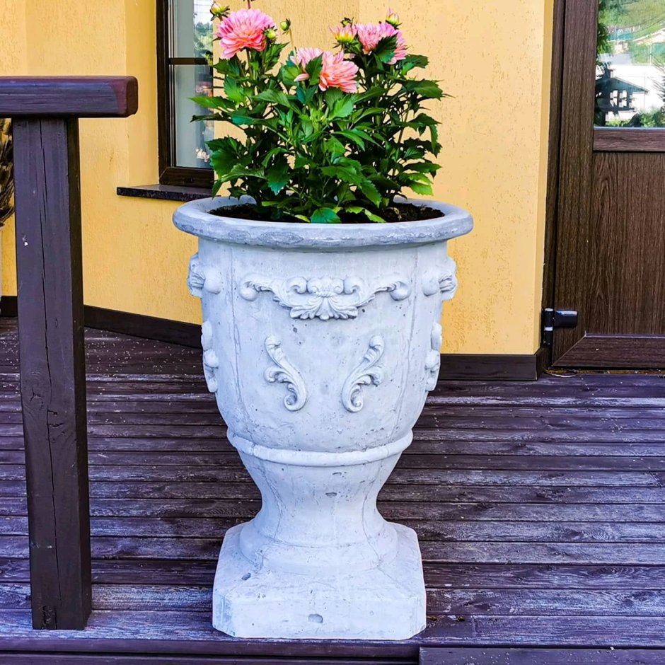 Вазон Леон Вуд