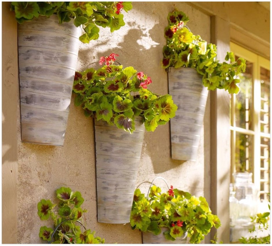 Декор стены растениями