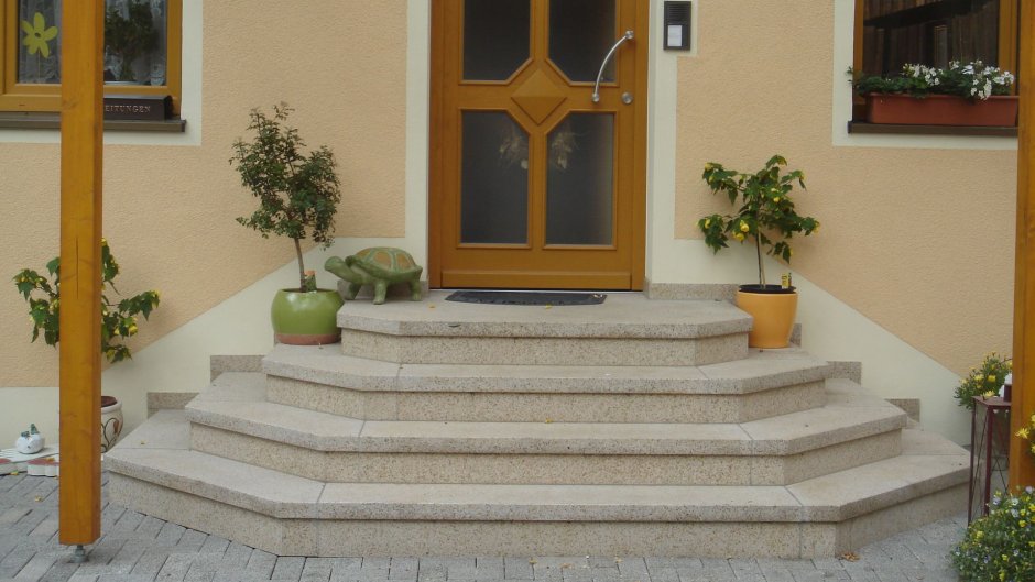 Входные ступеньки в дом