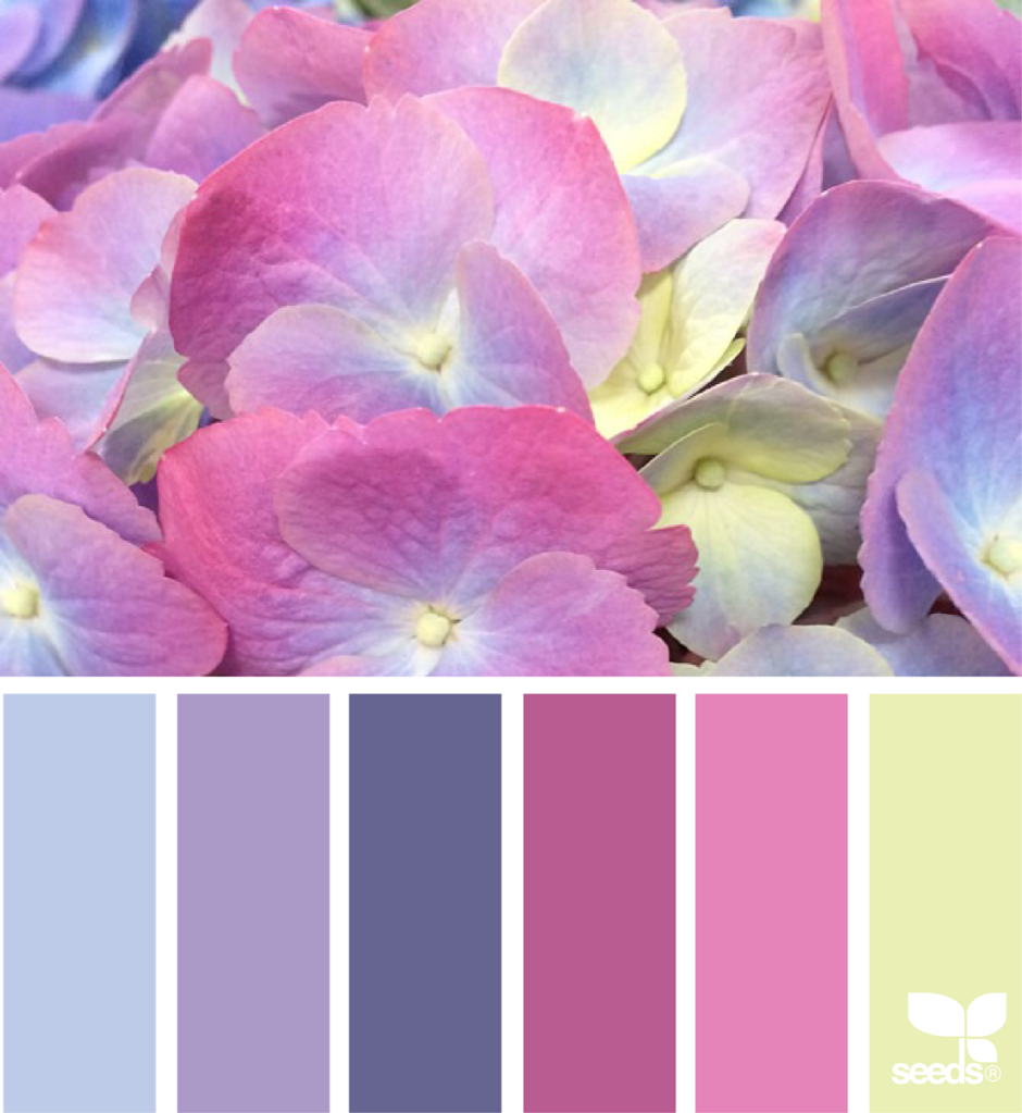 Цветовые Палитры romanuke