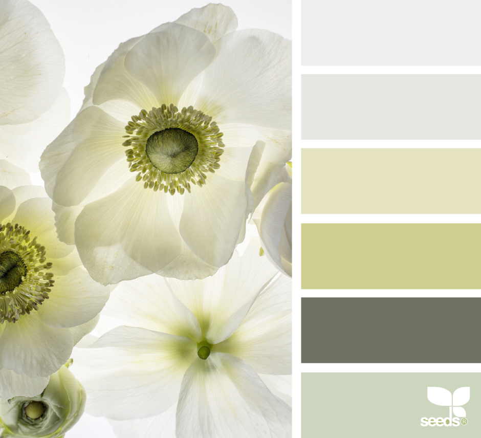 Сочетание цветов фисташковый