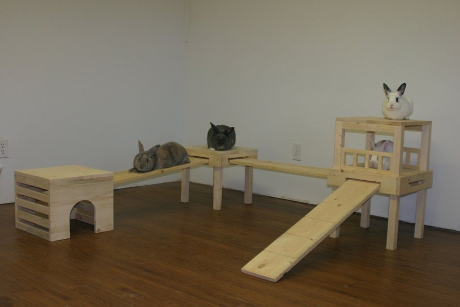 Самодельные игрушки для кроликов