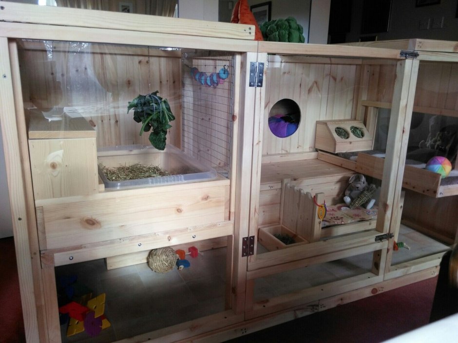 Пространство для кролика