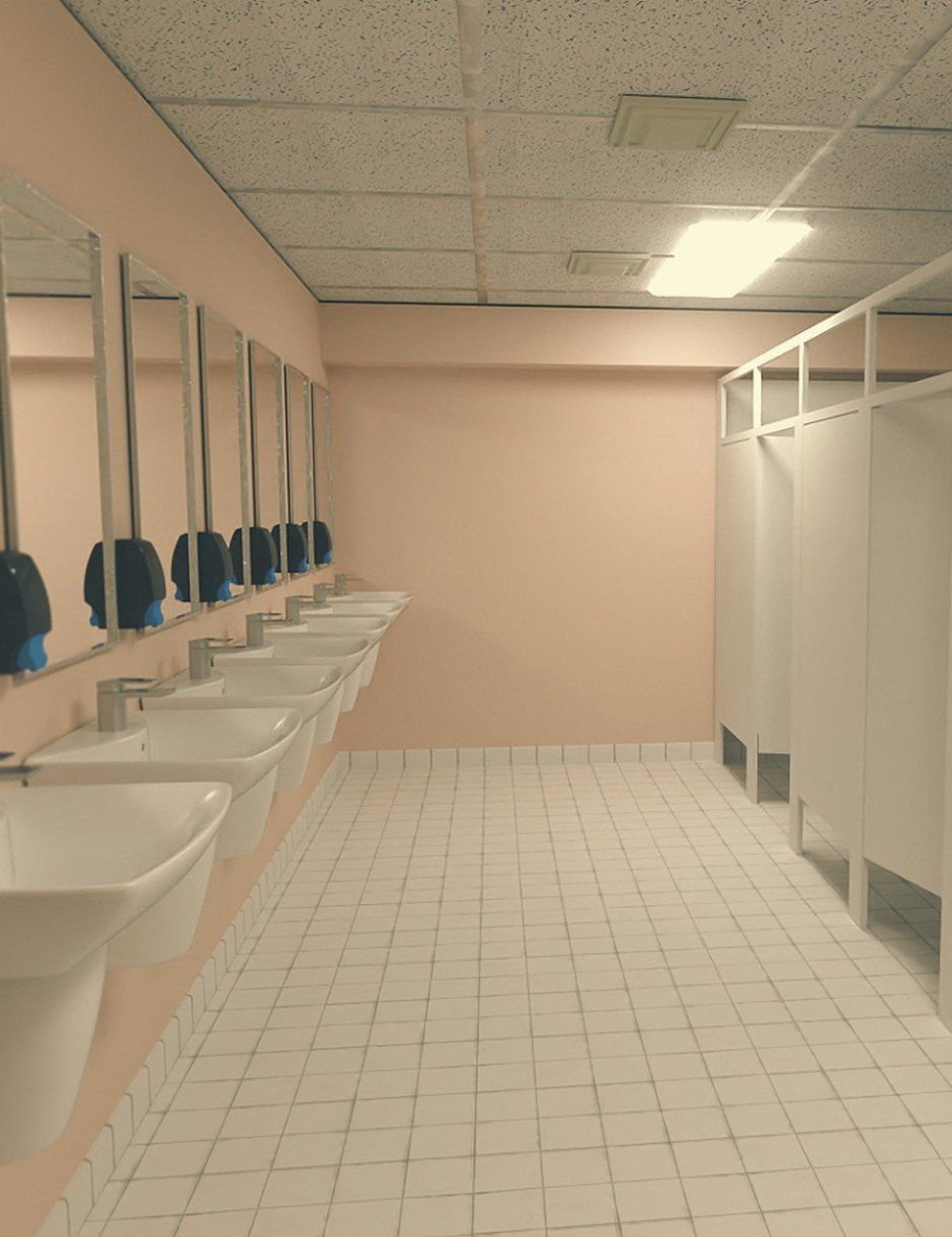 Туалеты в школах Америки