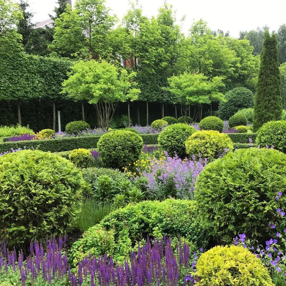 Mox ландшафтное бюро