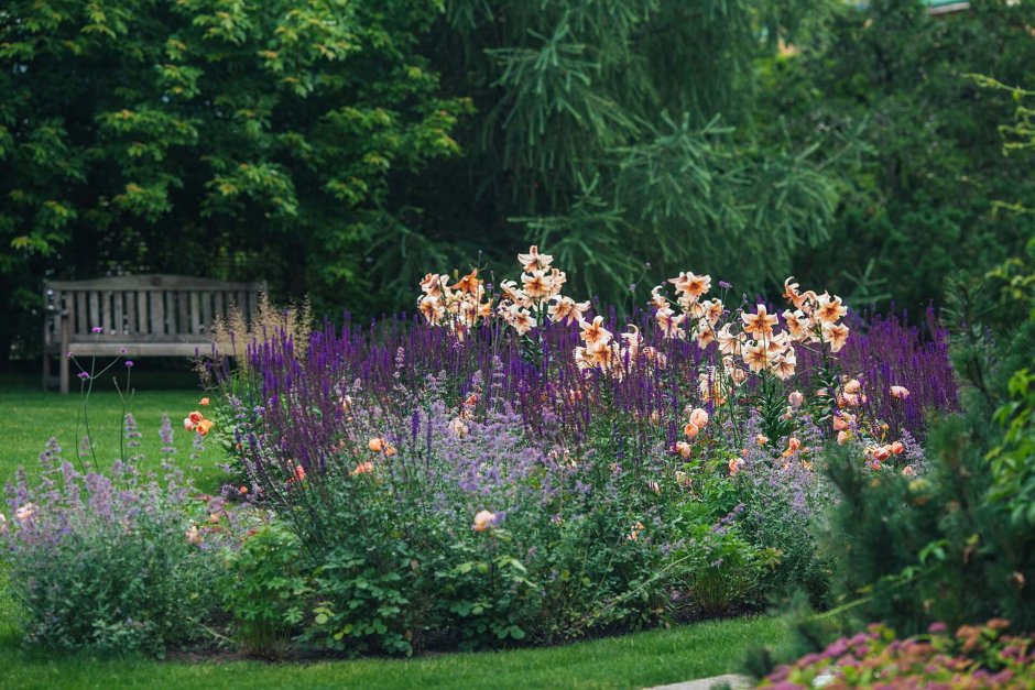 Агентство мох сады