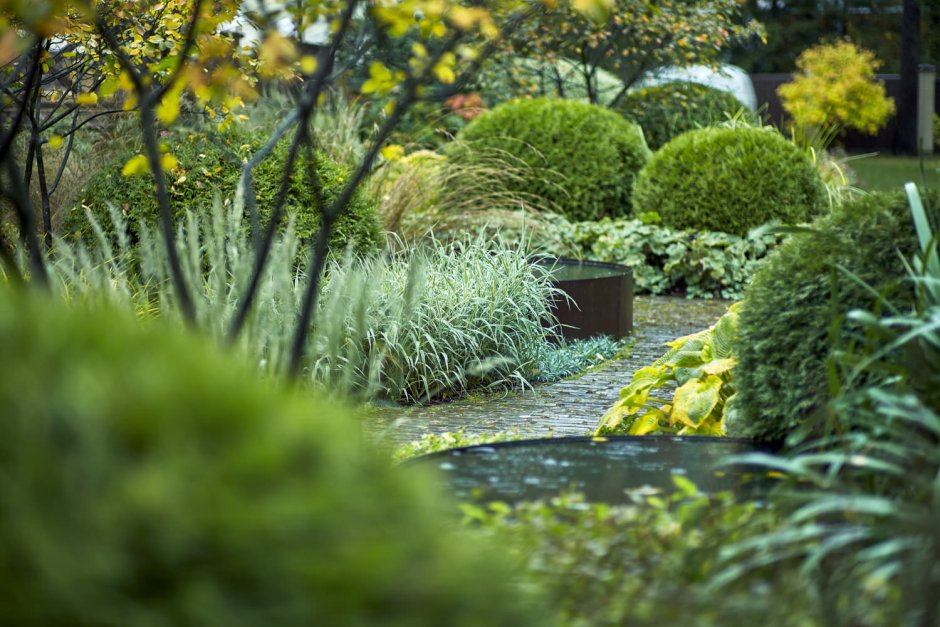 Студия мох Ландшафтная