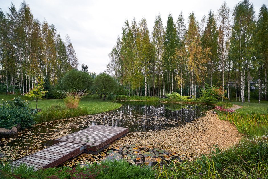 Ландшафтное бюро мох Лахта