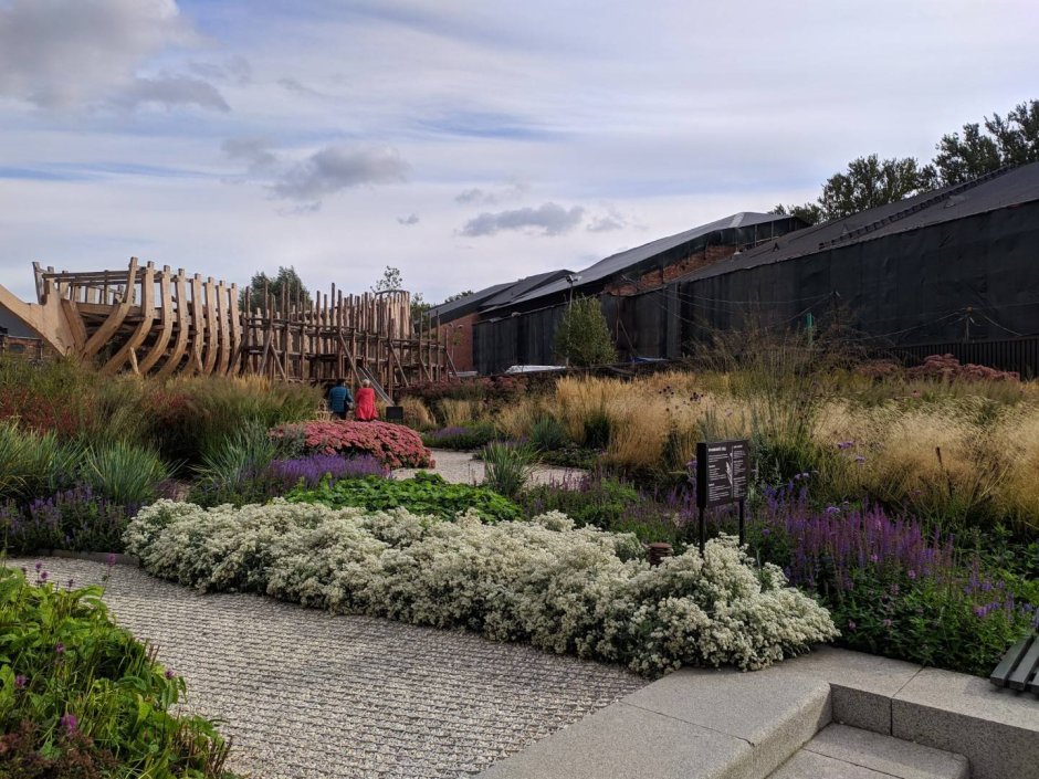 Мох ландшафтное бюро Зеленогорск