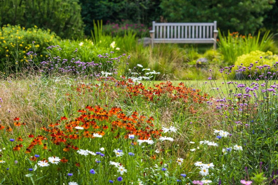 Ландшафтное бюро мох