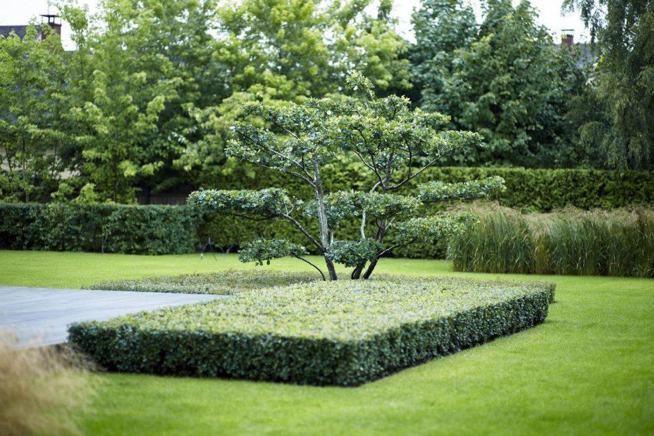 Mox ландшафтное бюро